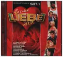 Double CD - Nena, Udo Lindenberg, Reamonn a.o. - Nur Die Liebe Zählt