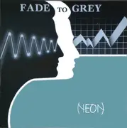 12inch Vinyl Single - Neon - Fade To Grey
