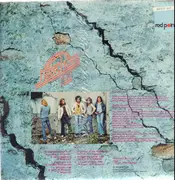 LP - Neon Rose - Two - Still Sealed