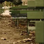 near the parenthesis - Music For the Forest