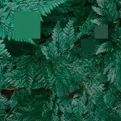 Nebraska - Metaphor To The Floor