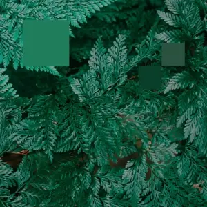 Nebraska - Metaphor To The Floor