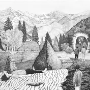 Ned Collette