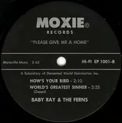 Ned - Please Give Me A Home