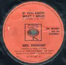 7inch Vinyl Single - Neil Diamond - If You Know What I Mean - Promo Version