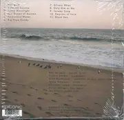 CD - Neil Holyoak - Rags Across the Sun - Cardboard sleeve