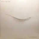 Double LP - Neil & Liam Finn - Lightsleeper