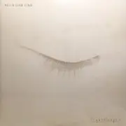 Double LP - Neil & Liam Finn - Lightsleeper