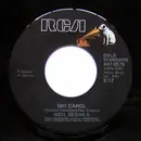 7inch Vinyl Single - Neil Sedaka - Oh! Carol / Calendar Girl