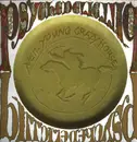 LP-Box - Neil Young With Crazy Horse - Psychedelic Pill - 180g, Etched, incl. Small Book
