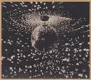 CD - Neil Young Feat. Pearl Jam - Mirror Ball - Digifile