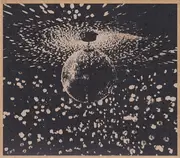 CD - Neil Young Feat. Pearl Jam - Mirror Ball - Digifile