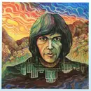 12inch Vinyl Single - Neil Young - Neil Young - Gatefold, 180g