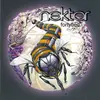 Double CD - Nektar - Fortyfied