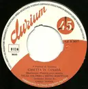 7inch Vinyl Single - Nella Colombo E Bruno Rosettani - Casetta In Canada / Un Filo Di Speranza