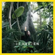 LP - Nerven - The Critique