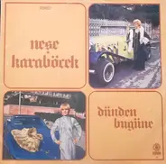 Neşe Karaböcek - Dünden Bugüne