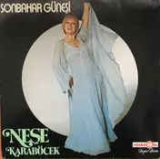 Neşe Karaböcek - Sonbahar Güneşi
