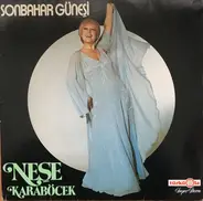 Neşe Karaböcek - Sonbahar Güneşi