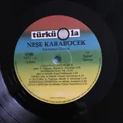 LP - Neşe Karaböcek - Sonbahar Güneşi