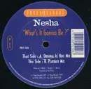 12inch Vinyl Single - Nesha - What's It Gonna Be?