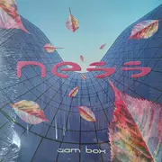 12inch Vinyl Single - Ness - Jam Box