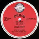 12inch Vinyl Single - Neverland - Mato Grosso (The Remix)