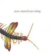 New American Wing - New American Wing