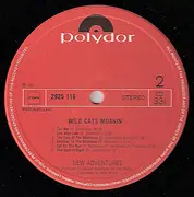 LP - New Adventures - Wild Cats Moanin'