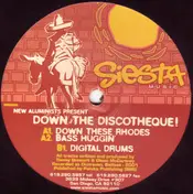 The New Aluminists - Down The Discotheque