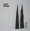LP - New Bums - Last Time I Saw Grace