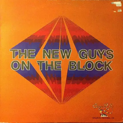 New Guys On The Block - The New Guys On The Block