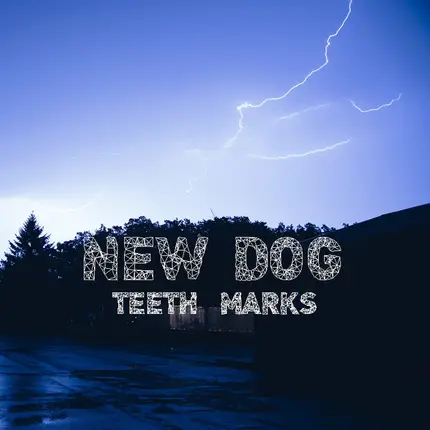 New Dog - Teeth Mark