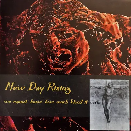 New Day Rising - We Cannot Know How Much Blood It Costs