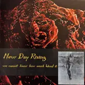 New Day Rising - We Cannot Know How Much Blood It Costs