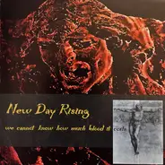 New Day Rising - We Cannot Know How Much Blood It Costs