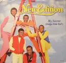 7inch Vinyl Single - New Edition - My Secret (Didja Gitit Yet?)