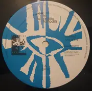 12inch Vinyl Single - New Fast Automatic Daffodils - Lions - EP