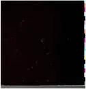 12inch Vinyl Single - New Order - Blue Monday - Third Pressing, Plain Cover