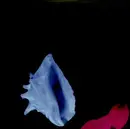12inch Vinyl Single - New Order - Touched By The Hand Of God