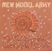 CD - New Model Army - B-Sides And Abandoned Tracks