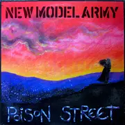 12inch Vinyl Single - New Model Army - Poison Street