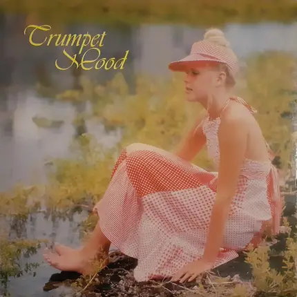 New Sun Pops Orchestra - Trumpet Mood