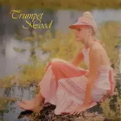 New Sun Pops Orchestra - Trumpet Mood