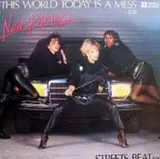 New Paradise - This World Today Is A Mess