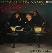 New Paradise - This World Today Is A Mess