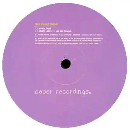 New Phunk Theory - Honey Falls