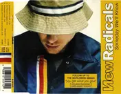 The New Radicals - Someday We'll Know