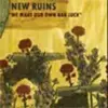 LP - New Ruins - We Make Our Own Bad Luck - BROCK RED COLORED VINYL/LIMITED