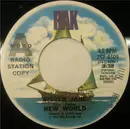 7inch Vinyl Single - New World - Sister Jane